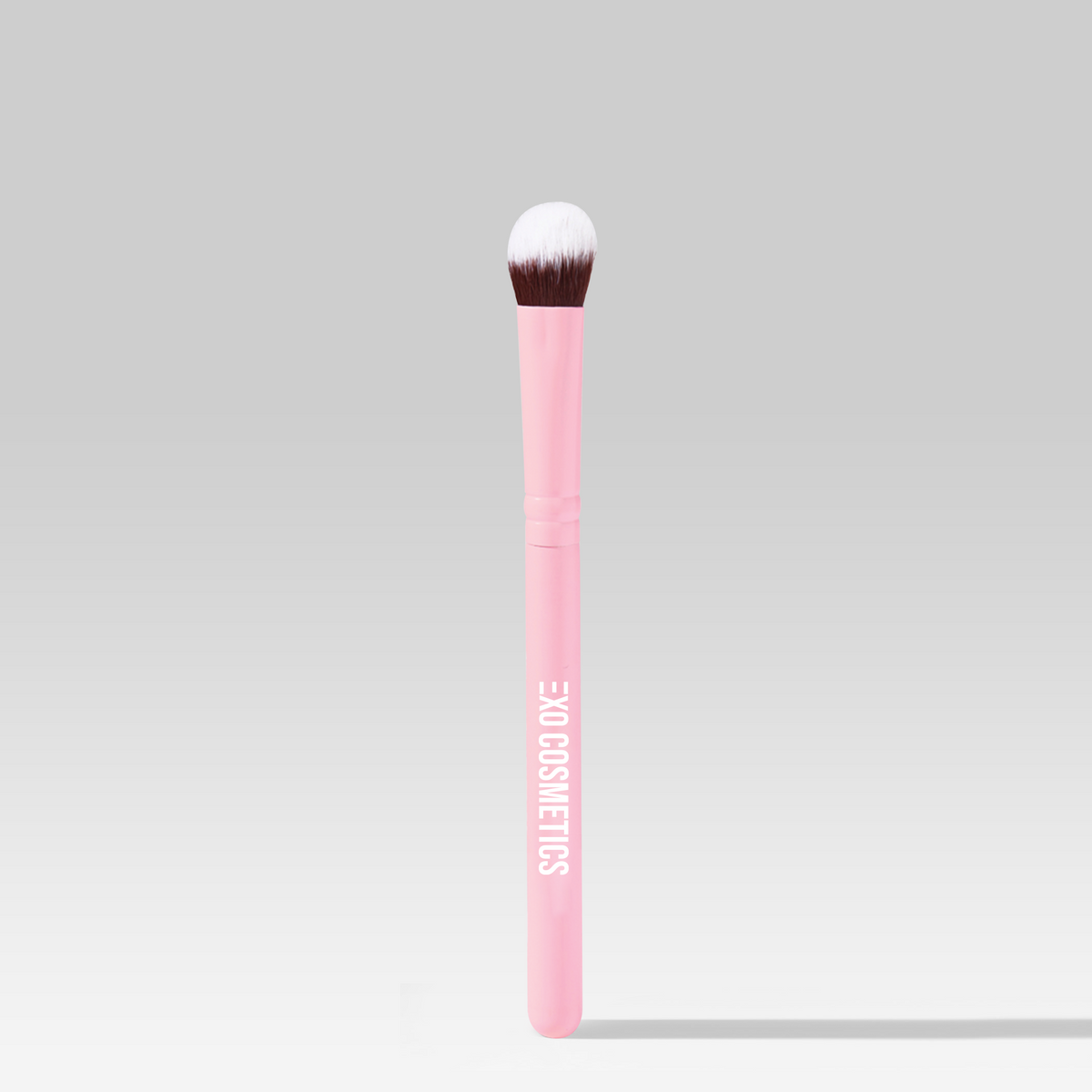 PASSENGER PRINCESS MINI BRUSH SET