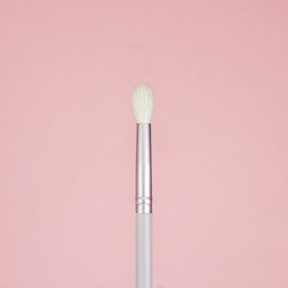 EXO107- Precise Blending Brush