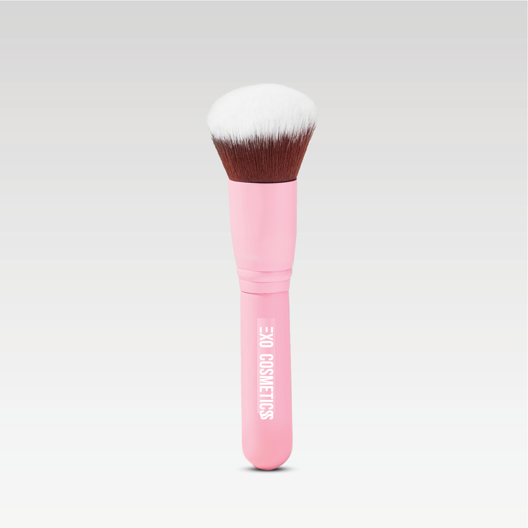 PASSENGER PRINCESS MINI BRUSH SET