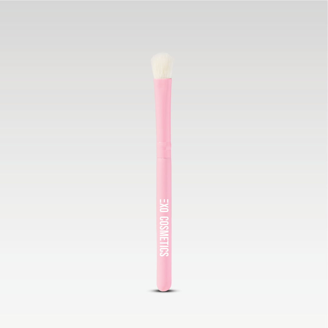 PASSENGER PRINCESS MINI BRUSH SET